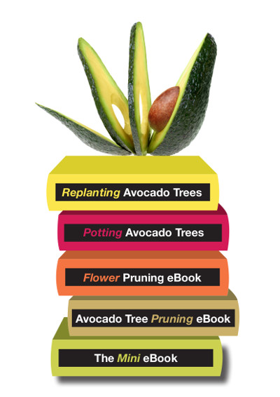 avopro avocado mini library