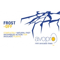 frost_off_avopro_1913795232