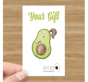 avopro-gift-card-2_1103715754