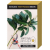 avopro-avocado-tree-pruning